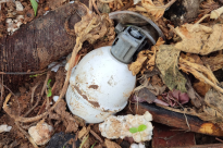 اعتقال 20 مواطنا من مدينة اللد على خلفية عمليات اطلاق النار ليلة الأمس